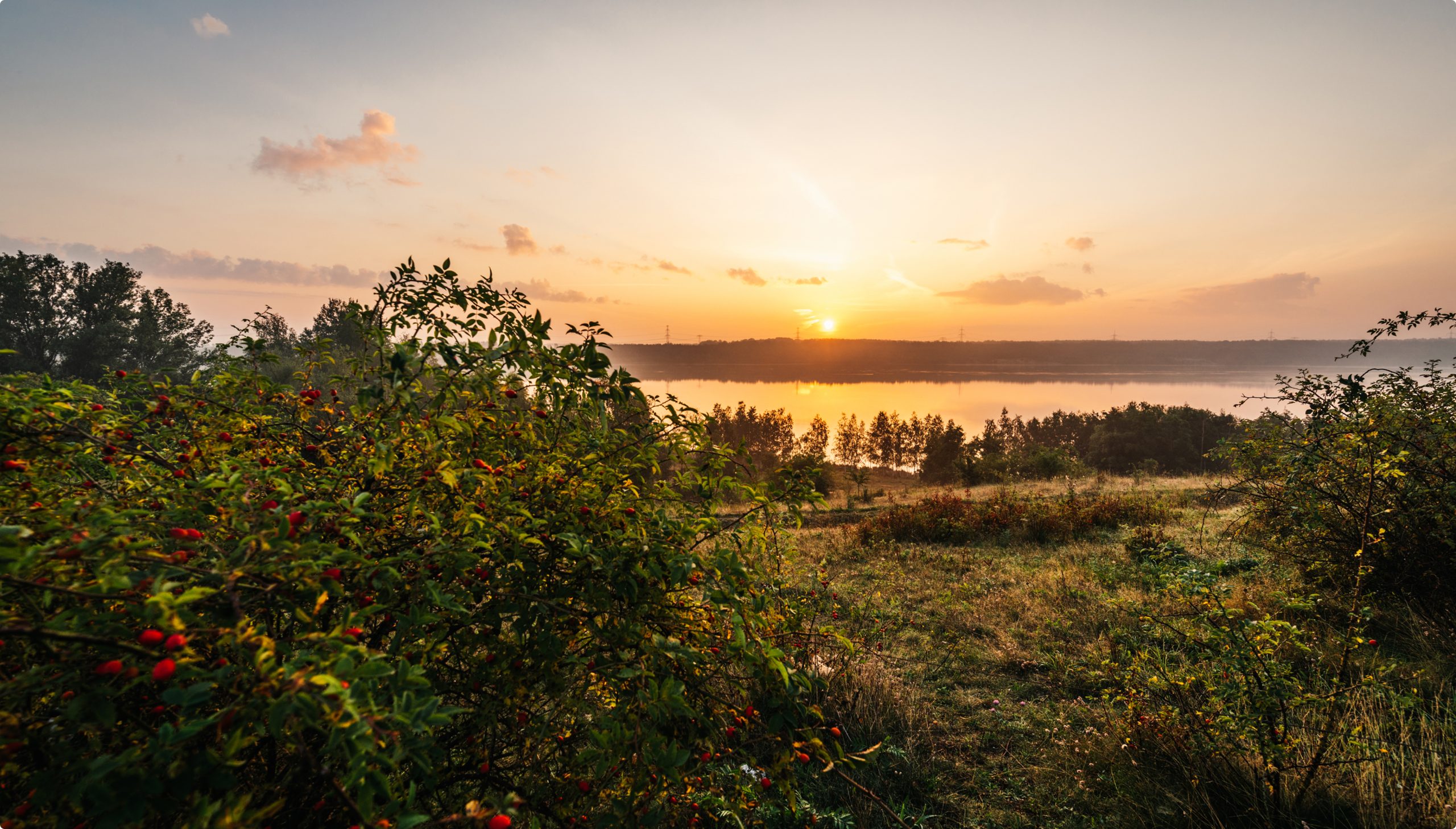 Naturnahe Landschaft am Bockwitzer See bei Sonnenuntergang mit Panoramablick auf den See und hoher Lebensqualität im Leipziger Südraum.